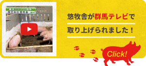 悠牧舎が群馬テレビで取り上げられました！