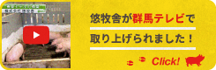 悠牧舎が群馬テレビで取り上げられました！